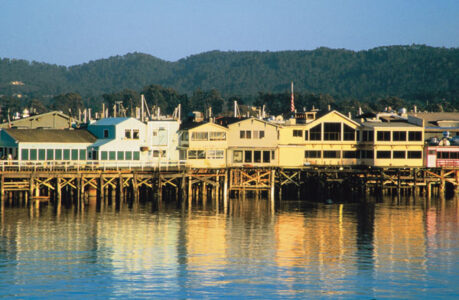 Natural Home Goes to Monterey Image